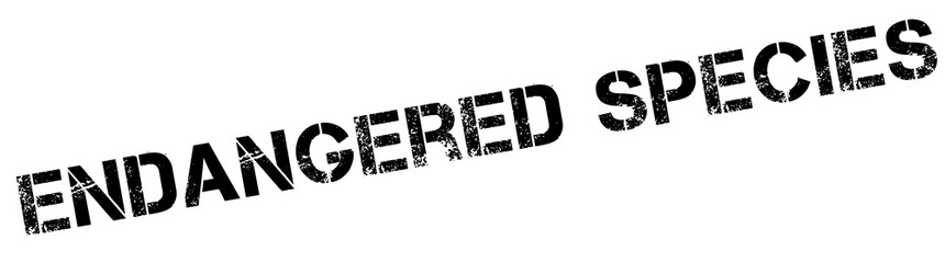 Endangered species black rubber stamp on white