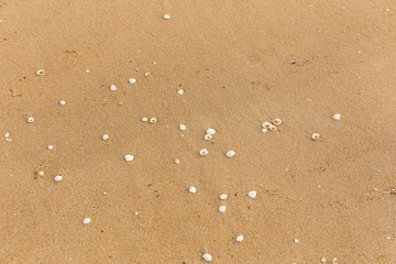 sand beach background