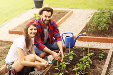 Young couple planting organic vegetables