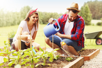Young couple planting organic vegetables