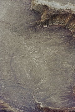 Hummingbird, Lines and Geoglyphs of Nasca, Peru