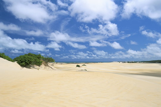 Sand dunes, Pitangui, Natal, Rio Grande do Norte state, Brazil