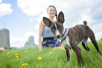 girl with a dog in the park