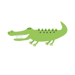 Crocodile