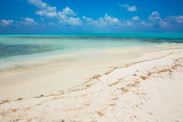 Crystal clear turquoise water at tropical maldivian beach