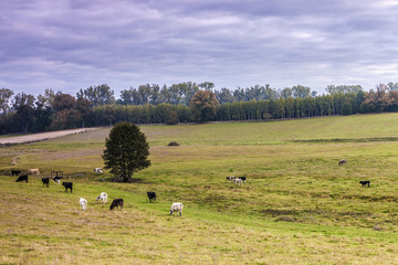 jesień na Warmii © Janusz Lipiński