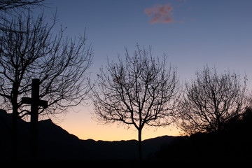 Fototapeta na wymiar Cross between the trees , sunset in the background