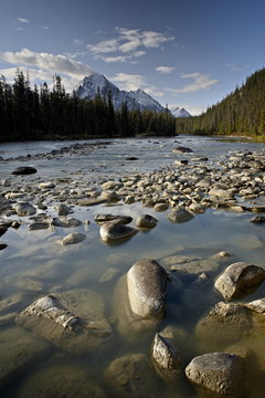 Whirlpool River, Jasper National Park, Rocky Mountains, Alberta, Canada