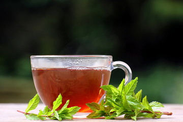 peppermint herbal tea