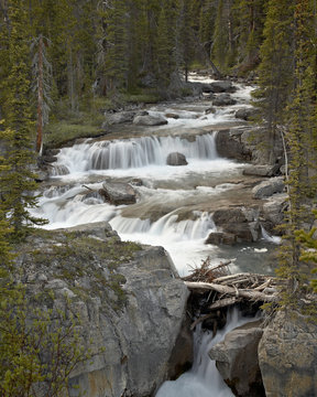 Nigel Creek, Banff National Park UNESCO World Heritage Site, Rocky Mountains, Alberta, Canada
