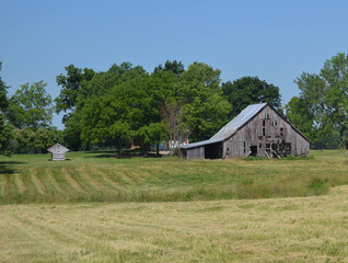 Fototapeta na wymiar The Barn and the Pasture