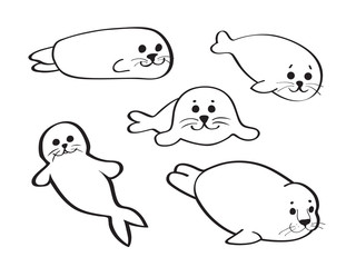Set of hand drawn baby seals isolated on white background.