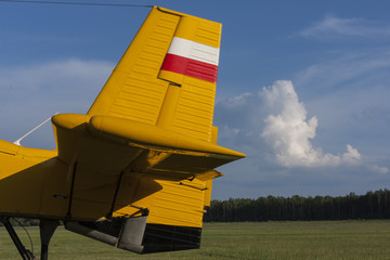 The tail and rudder plane