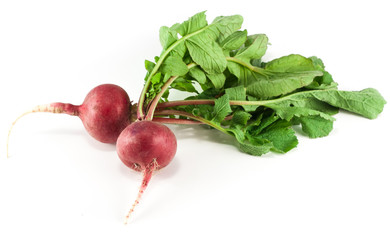 Red radish isolated