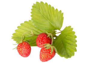 Fresh strawberry on a white background.