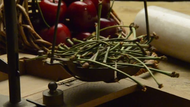 இலைக்காம்பு తొడిమ Petiŏlus Picciolo Blatt Pec&iacute;olo Pec&iacute;ol Picciuolo Bladstilk  دمبرگ Yaprak sapı Bladsteel Plantedel P&eacute;tiole Pflanze Petiole botany Herbalism Peciolo Leheroots Peziolo Herbalism  葉柄 