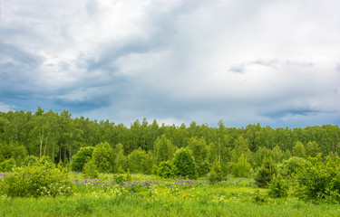 Summer landscape on a cloudy day.