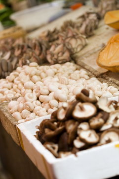Mushroom stall at market, Xining, Qinghai, China