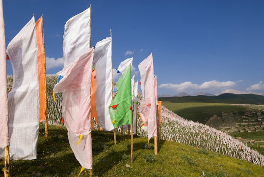 Prayer flags on hillside, Tagong Grasslands, Sichuan, China