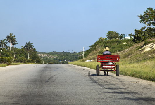 Man driving horse and cart on a wide deserted country road, Cuba