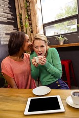 Woman telling secret to her friend