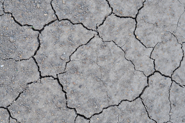 cracked soil