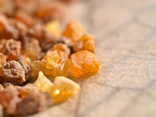 Myrrhe, Harz, Commiphora myrrha