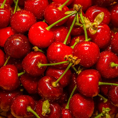 Fresh cherries in water drops