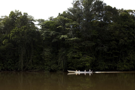 A pirogue on the Approuague River, French Guiana