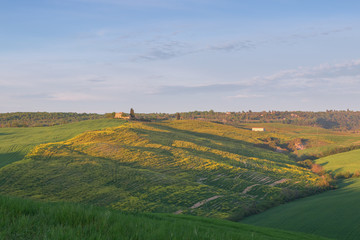 Obraz premium Typical Tuscany landscape springtime