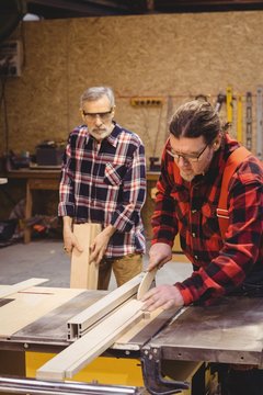 Focused duo of carpenter cutting a wood plank