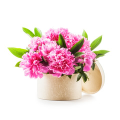 Peony pink flowers in gift box