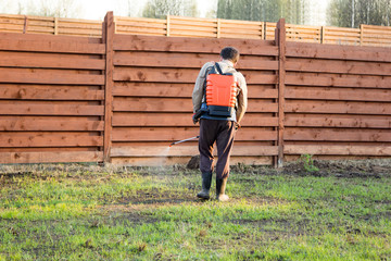 man sprays grass with herbicide of a knapsack sprayer