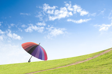 Obraz premium Umbrellas on the grass Background sky