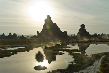 Lac Abbe (Lake Abhe Bad) with its chimneys, Republic of Djibouti