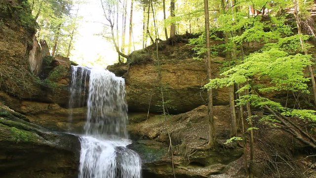 Natur in Mitteleuropa