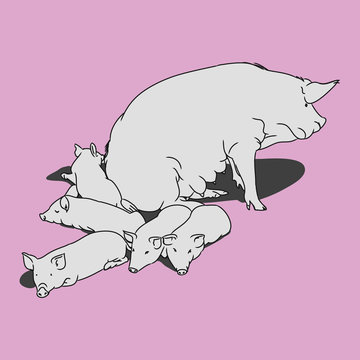 recommend clip art: Pig and piglets (pink)