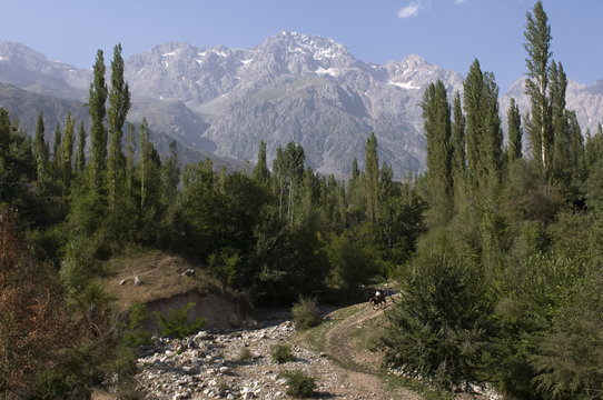 Mountains with walnut trees, Arslanbob, Kyrgyzstan