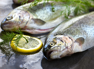 Rainbow trouts on a stone board with herbs and lemon