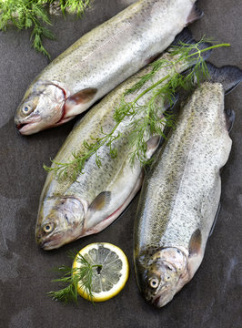 Rainbow trouts on a stone board with herbs and lemon