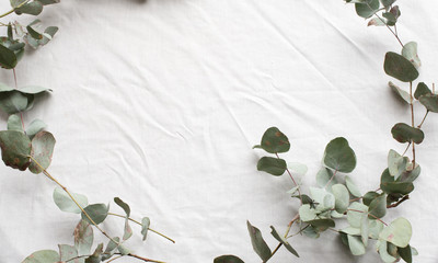 High angle view of green and brown eucalyptus leaves arranged in curve on white tablecloth
