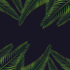 Fototapeta na wymiar palm leaf background design 