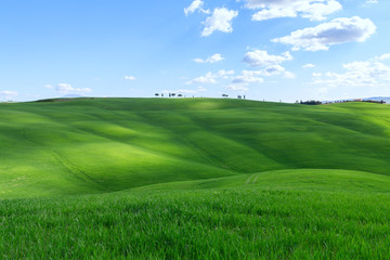 Typical Tuscany landscape springtime at sunrise