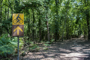 bici nel bosco