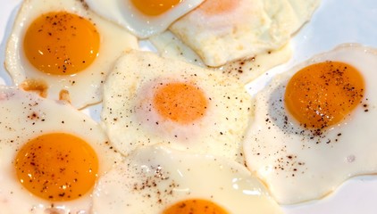 many fried eggs with red yolk and egg white
