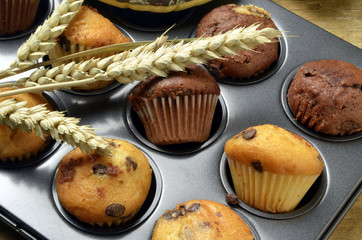 మఫిన్ ಮಫಿನ್ מאפין 머핀 Мъфин Queque Bocaire Muffin 玛芬 Mafino Мафін مافین Mustikkamuffinssi Muffini Muffins マフィン Маффин Vaniglia Mafin Cioccolato 美式鬆餅 Plum cake