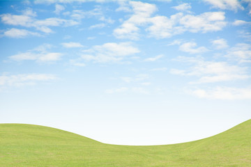 Background green grass and blue sky