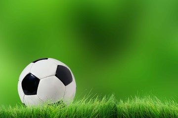 Fototapeta premium Isolated ball on green