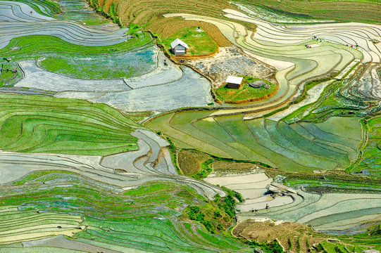 The terraced rice paddy in Bat Xat district of Lao Cai province, Vietnam.
