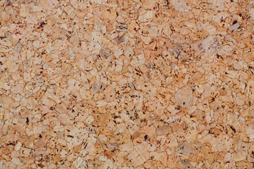 Texture of wood background